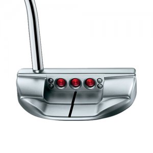 gayputtertitleistfastback500x500.jpg