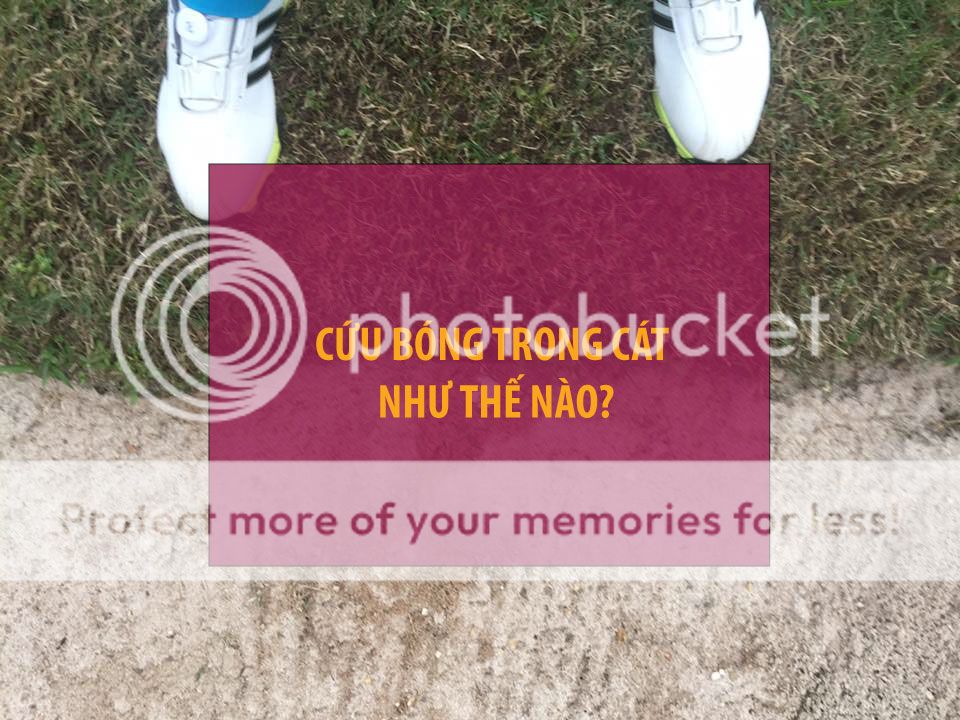 cuu-bong-trong-cat_zpswaikrs4b.jpg