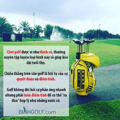 cho-thue-gay-golf-tai-tphcm-400x400.jpg