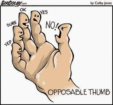 hHqDvvMLLp4iYivfsJ_jSR19SXp9Lmyq6VK2ONyKNr4=w530-h496-no