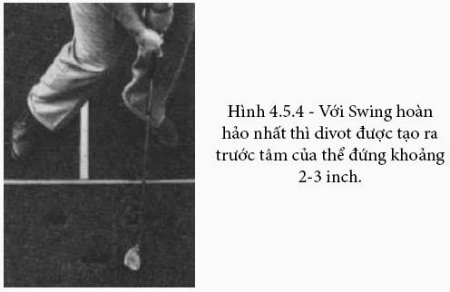 ogMeIXe2CMk9cPf5kwO6hgQagKaBPWGiK3G8Qaissys=w496-h322-no