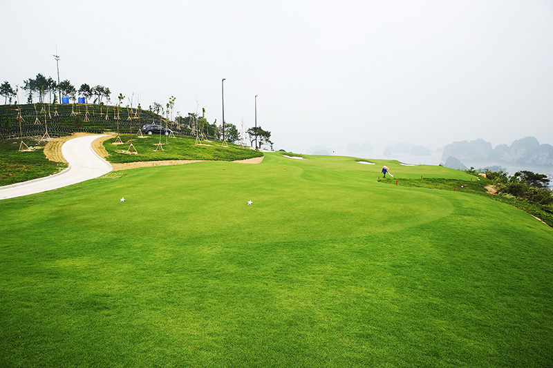 san-golf-minh-tri-2.jpg