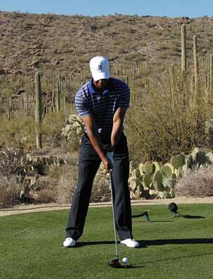 tiger-wood-2011-1.jpg