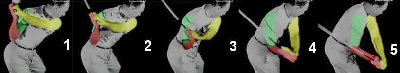 EAcCPfRvjsd7SPQMsruClRpI99s9kIWFC-BNxS1wzkM=w931-h170-no