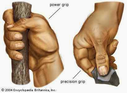 4X9TZWy9p1gQ2Lkxm8p-0Rg2lKiP2aATcEuDGJg-AyE=w465-h340-no