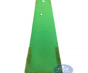 putting-golf1-300x250.png