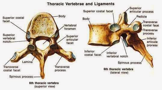 HMVK-B-1iWFpeJbt5EO8jo9tEVJ5u8_vKUOwT4YaU3U=w611-h340-no
