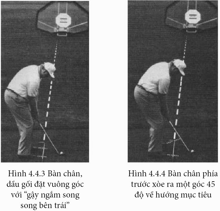 RAJlyTZOFdpC0GO548c3haLqKujpHrkdE4BcKVFvYbo=w746-h717-no